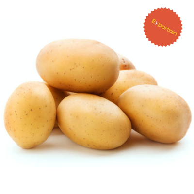 potato exportain.com