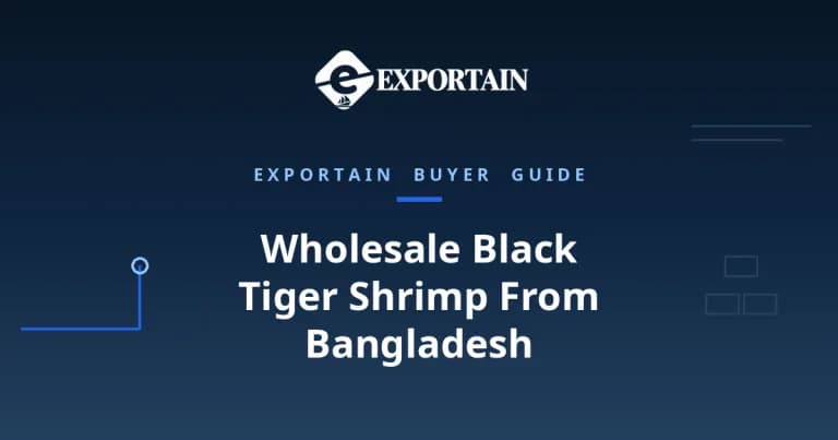 Navy title card: Wholesale Black Tiger Shrimp From Bangladesh, a wholesale buyer guide
