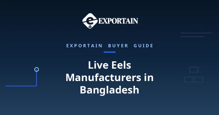 Navy title card: Live Eels Manufacturers in Bangladesh buyer guide