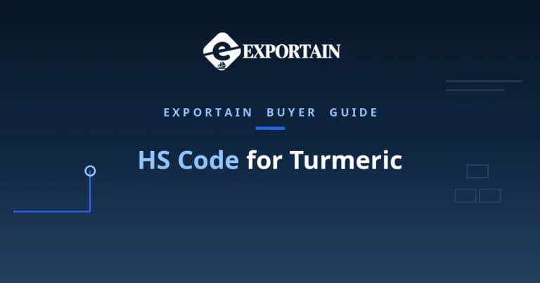 Navy title card: HS Code for Turmeric classification guide